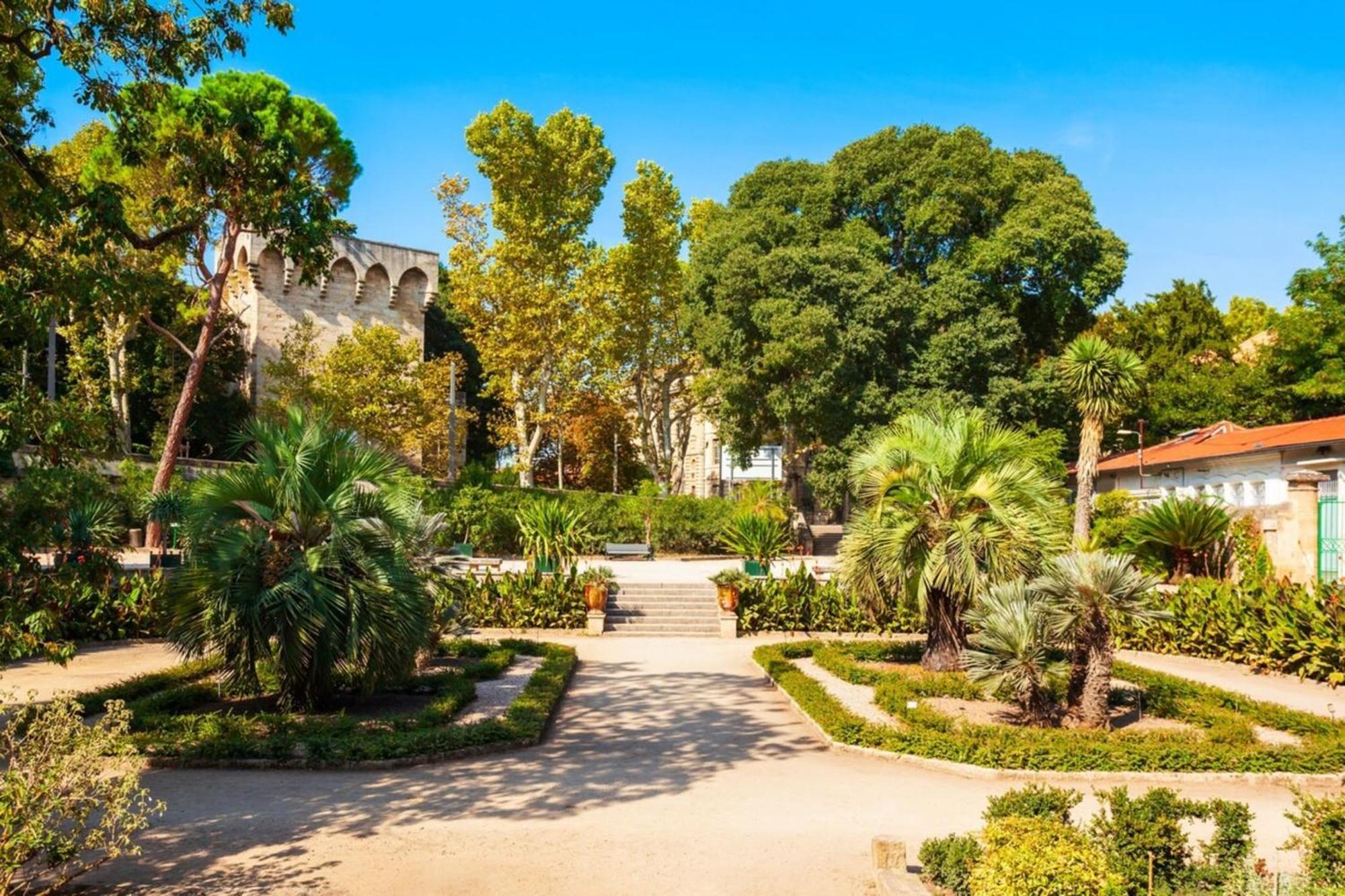 Apartament Le Triompha Montpellier Proche Arc De Triomphe Zewnętrze zdjęcie